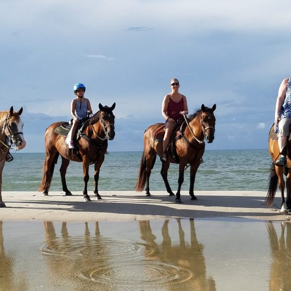 REITEN am STRAND - Image 2