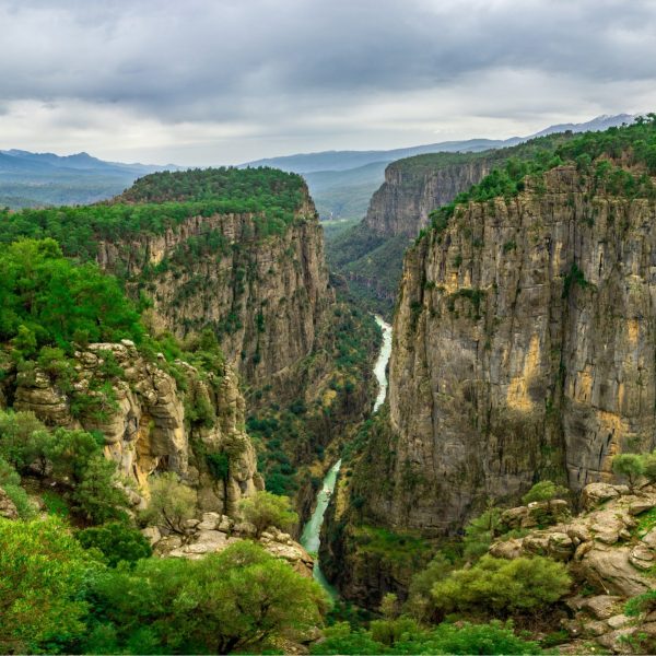 ADLER CANYON- SELGE TOUR - Image 3