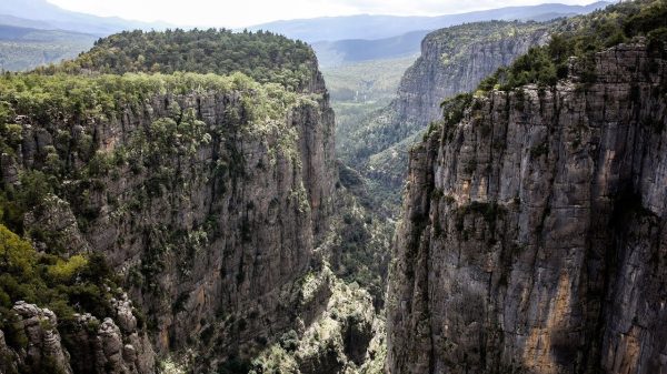 ADLER CANYON- SELGE TOUR