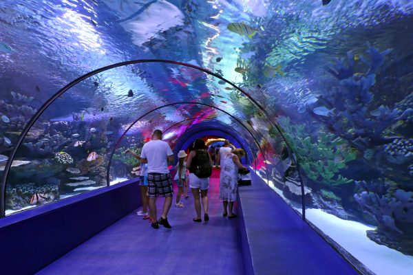 ANTALYA AQUARIUM TOUR - Image 2