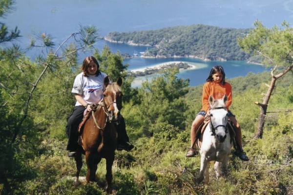 REITEN am STRAND - Image 4